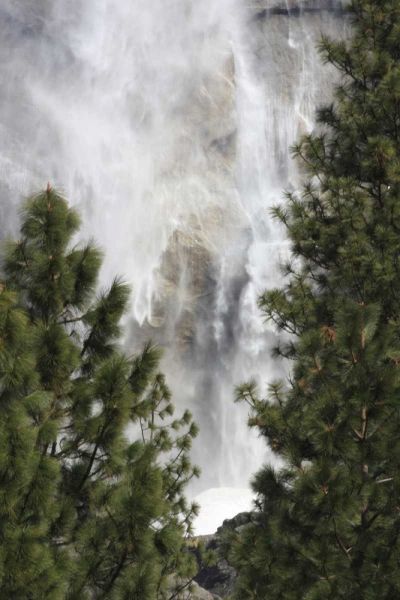 CA, Yosemite View o fYosemite Falls in March